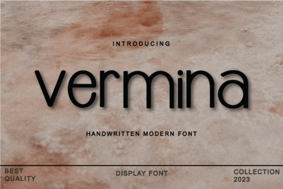 Vermina: Elevating Modern Design with Sleek Typography