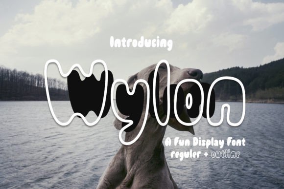 Wylon Font: Injecting Joy Into Your Designs